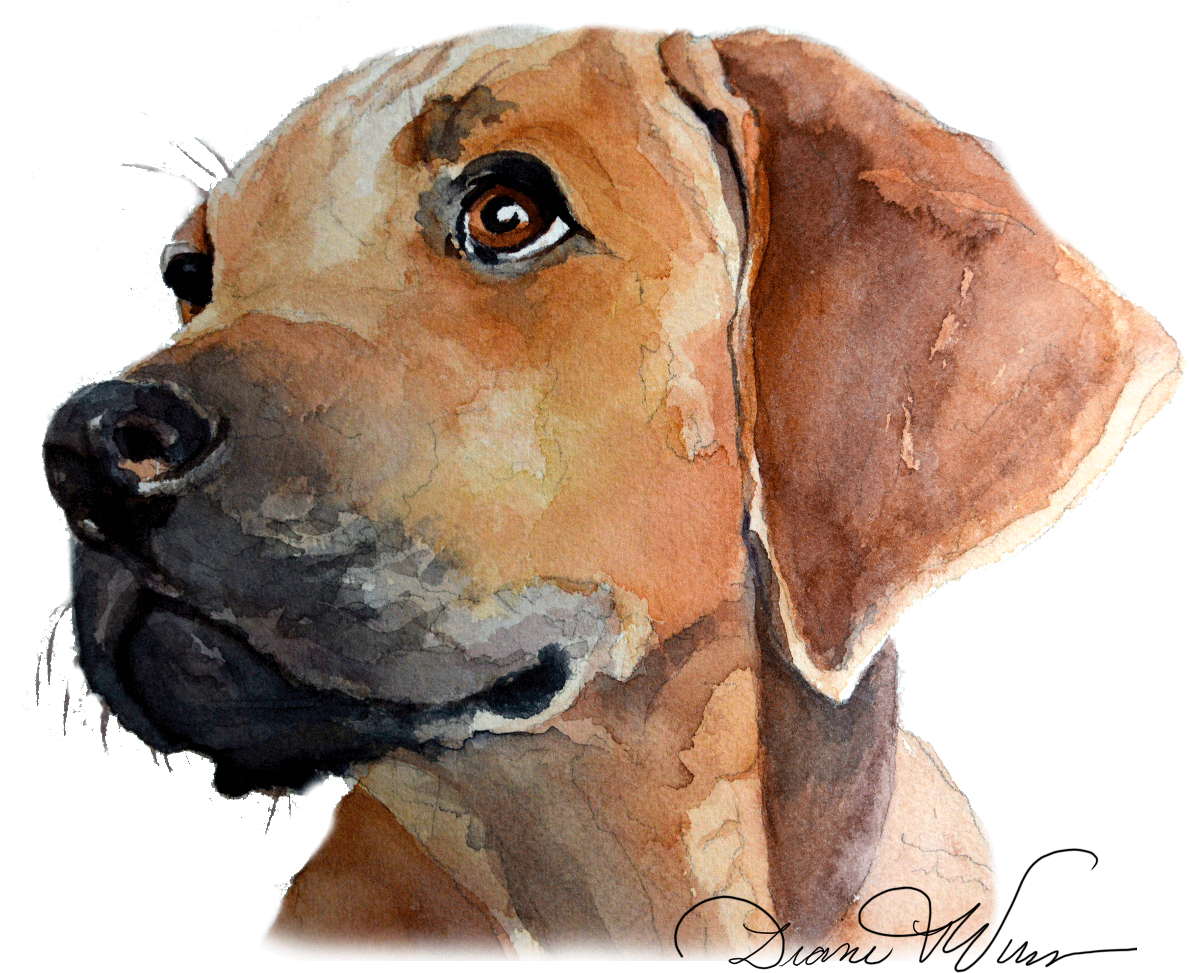 204-2046914_diane-vulcan-shared-rhodesia width=