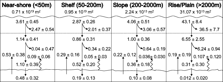 Down Arrows Are Organic Carbon Fluxes (720x266), Png Download