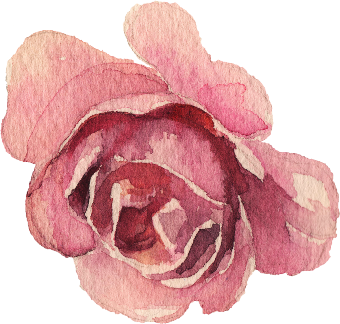Image Du Blog Zezete2 - Garden Roses (800x727), Png Download