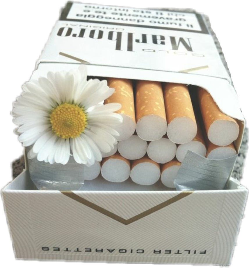Clip Freeuse Stock Flower Aesthetic Badgirl Malboro - Cigarettes And Flowers (856x923), Png Download