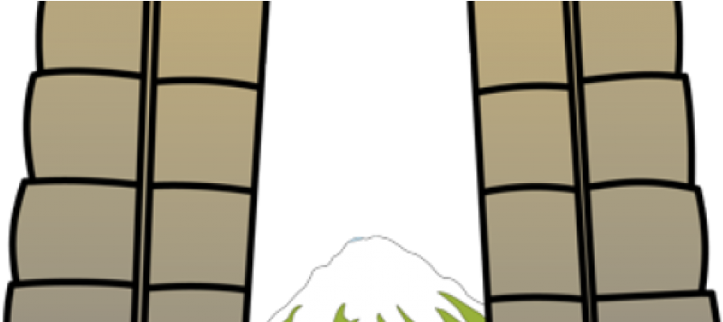 Cropped Puerta Logo Skype - Tree (847x356), Png Download