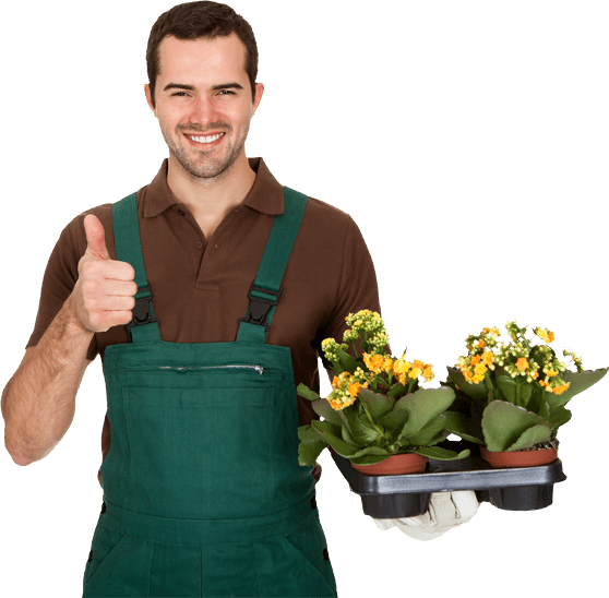 Gardening Transparent Background - False Shovel Large With Folding Handle For Camping (558x548), Png Download
