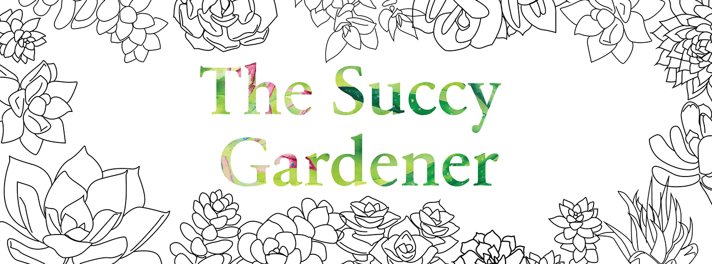 Play Video - Illustration (1400x519), Png Download