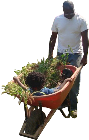 Nonscandinavia People Cutout, Cut Out People, People - Person With Wheelbarrow Png (348x510), Png Download