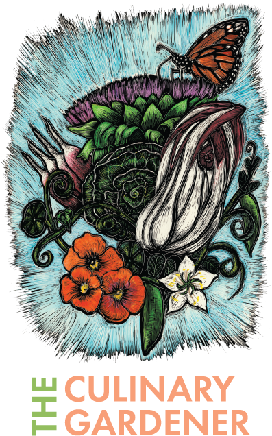 Portable Network Graphics (465x684), Png Download