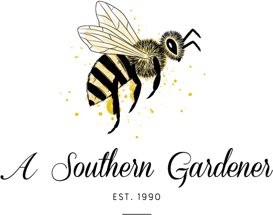 A Gardening And Home Decor Store / Williamsburg, Va - Net-winged Insects (700x613), Png Download