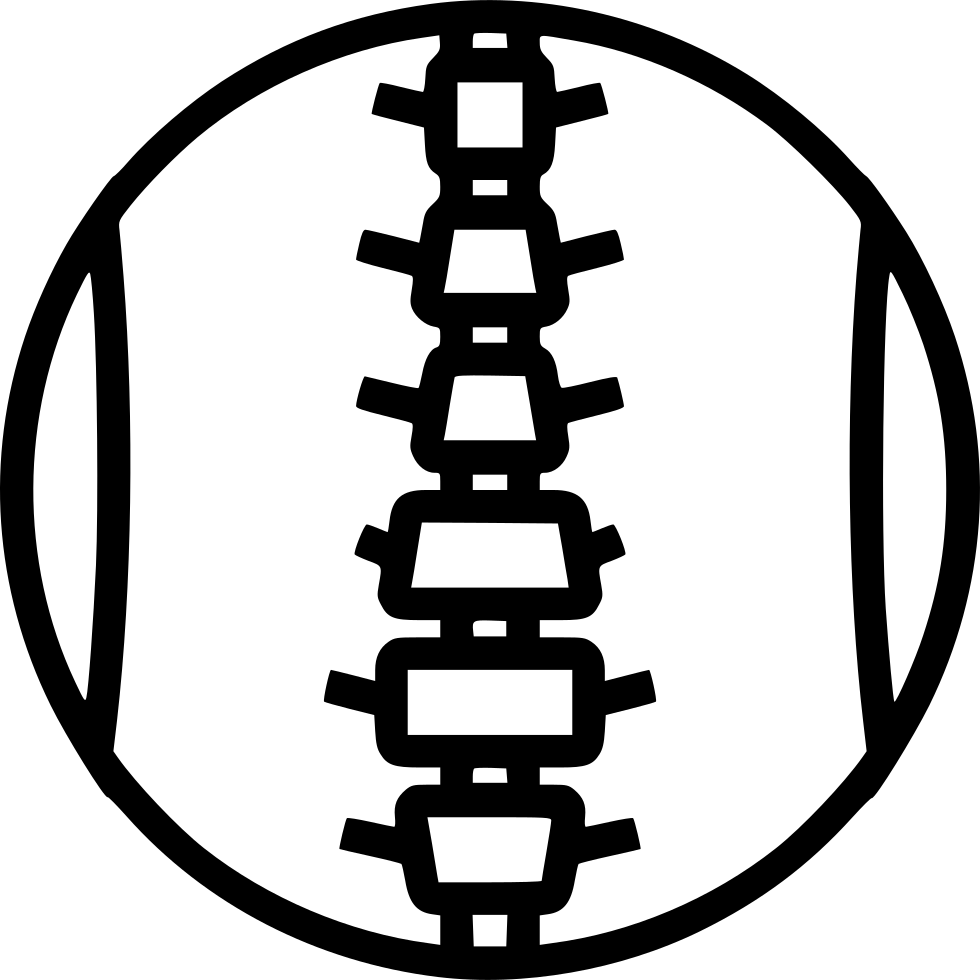 Spinal Cord Segment - Columna Vertebral Icono (980x980), Png Download