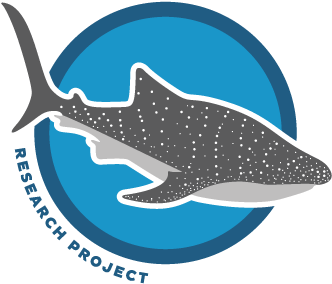 About The Whale Shark Research Project - Schenker Barden Acoustic Project Gipsy (360x360), Png Download