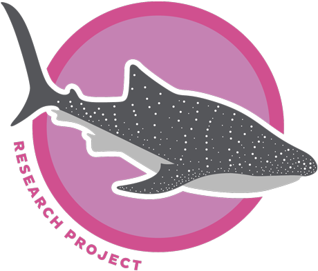 Shark Whale Pink (500x500), Png Download