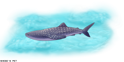 Whale Shark (495x250), Png Download