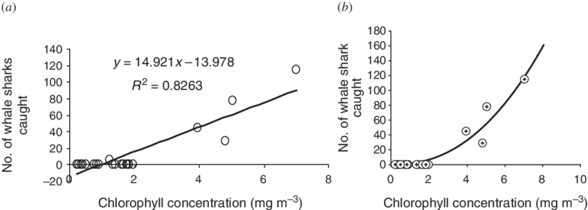 A) Correlation Of Whale Shark Catch And Chl-a Concentration - Fig.1 (850x304), Png Download
