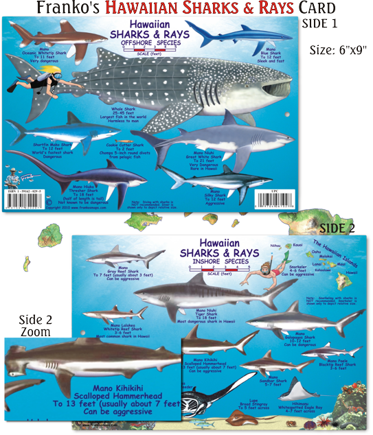Franko Maps, Hawaiian Sharks & Rays Id-card (543x634), Png Download