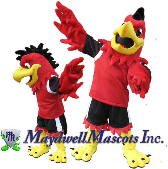 To - Mohawk College The Hawk (626x599), Png Download