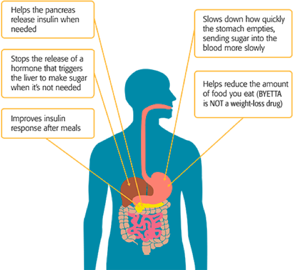 /us/157 Byetta Com/en/us/type 2 Diabetes Medication/how - Exenatide (975x531), Png Download