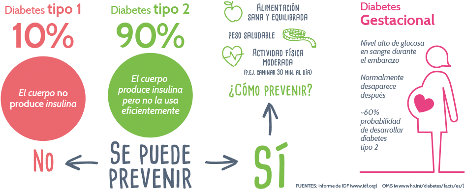 Test De Riesgo Genético Diabetes Tipo - Prevencion Diabetes Tipo 1 (959x390), Png Download