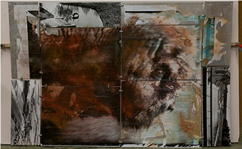 Video Impressions Bison Caravan Brasil - Modern Art (600x600), Png Download