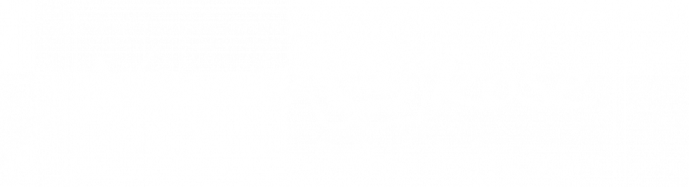 Las Vegas, Nv Florist - Vegas Rose Flowers (982x267), Png Download