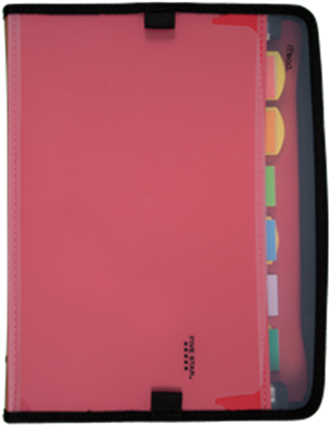 Transparent Folders Accordion - 5 Star File Organizer (322x408), Png Download