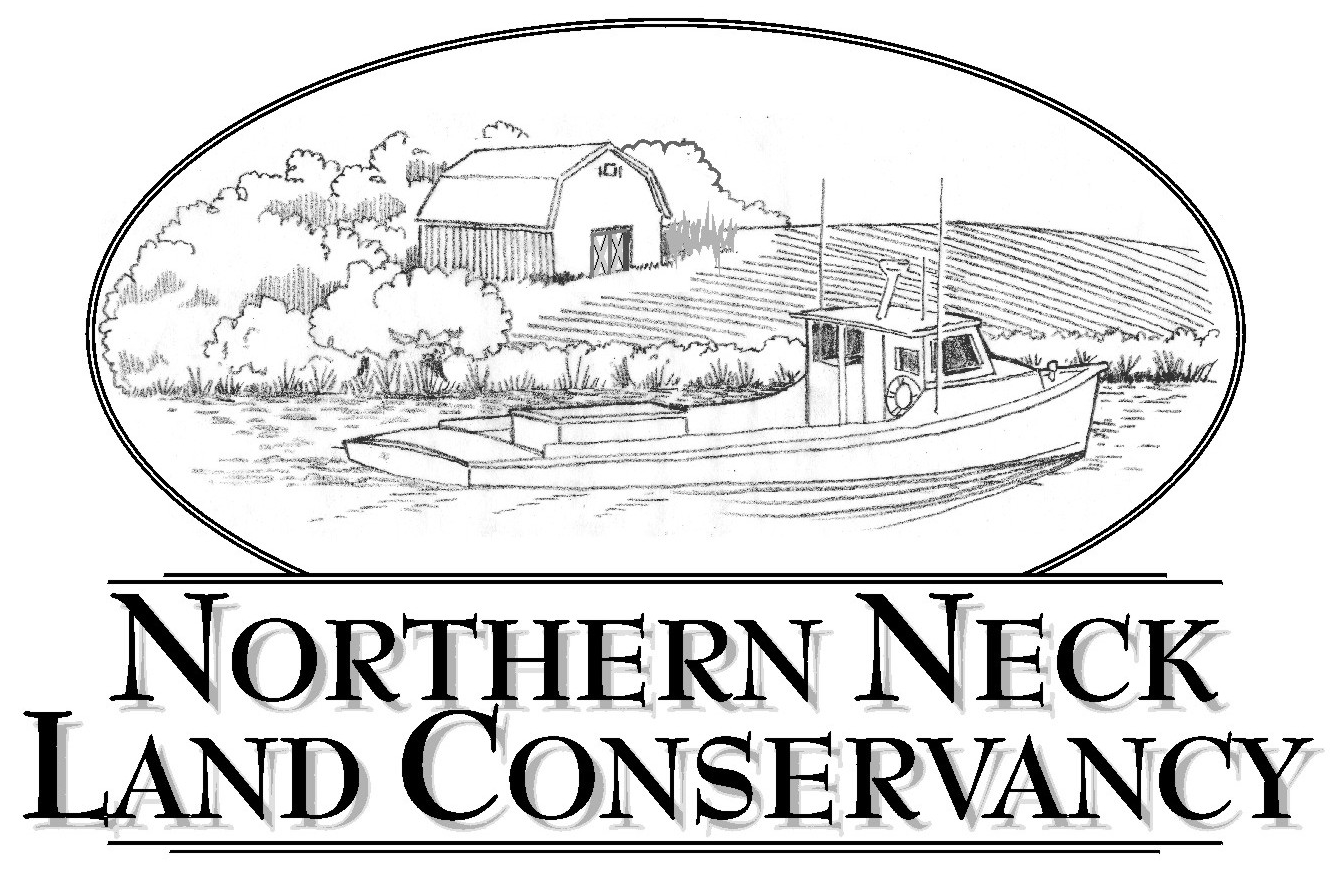 Northern Neck Land Conservancy 8327 Mary Ball Road - Northern Neck Land Conservancy (1370x955), Png Download