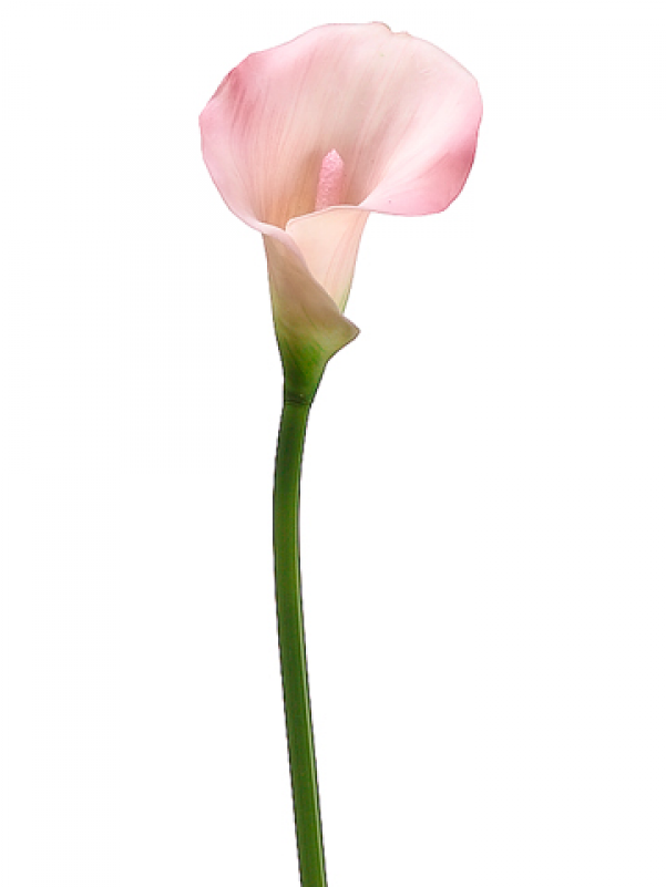 Painting (380x380), Png Download