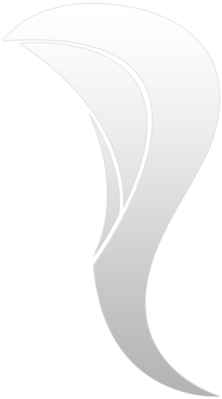 Youtube Banner $8 Twitter Header $6 (personalized 2d - Calligraphy (1100x659), Png Download