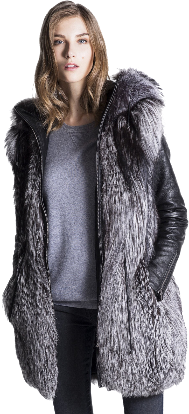 Silver Fox (1000x1647), Png Download