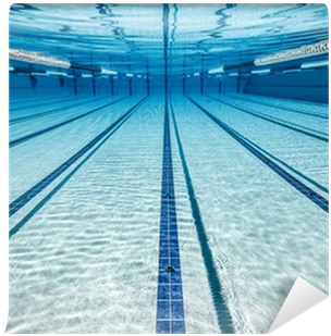 Expectation Vs Reality Swimming (400x400), Png Download