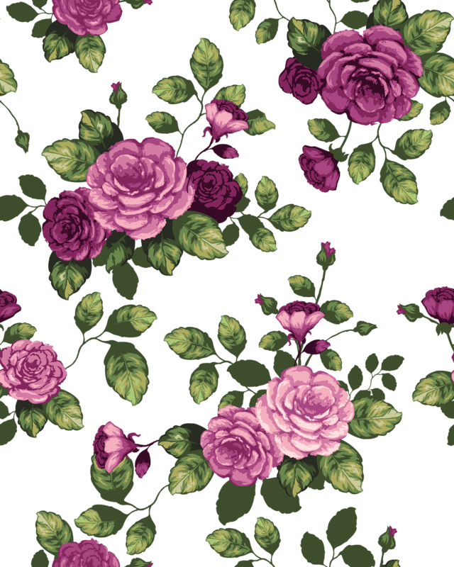 Фото, Автор Soloveika На Яндекс - Beautiful Rose Flowers Drawing (640x800), Png Download