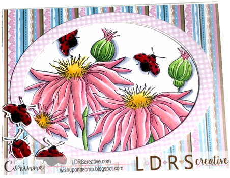 Blooming Bugs - Marguerite Daisy (480x375), Png Download