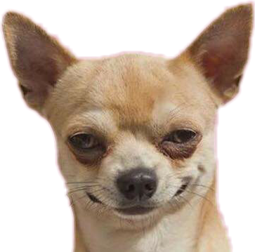 Perro Troll (363x359), Png Download