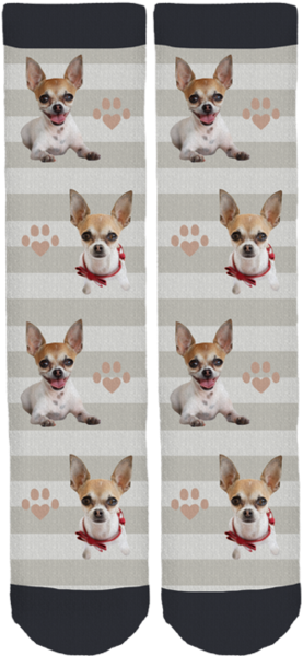 Pippa The Chihuahua Crew Socks - Sock (284x599), Png Download
