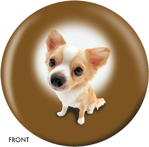 Chihuahua Bowling Ball (500x500), Png Download