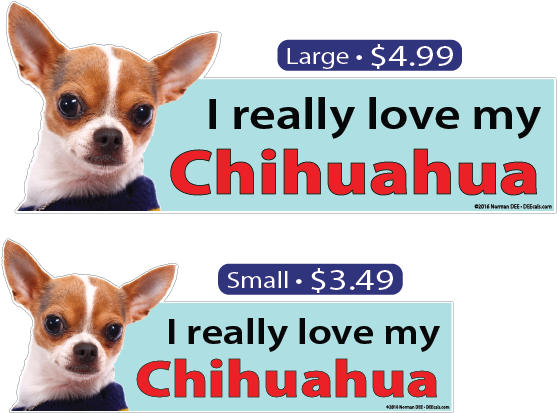 I Love My Chihuahua - Chihuahua Chihuahua Animal Sticker (570x419), Png Download