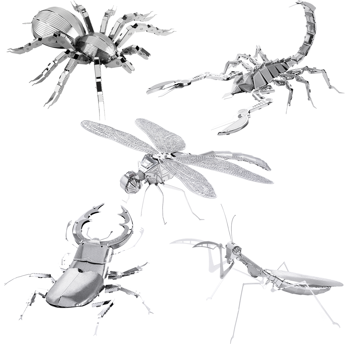 Picture Of Set Bugs - Fascinations Metal Earth 3d Laser Cut Model - Scorpion (1200x1200), Png Download