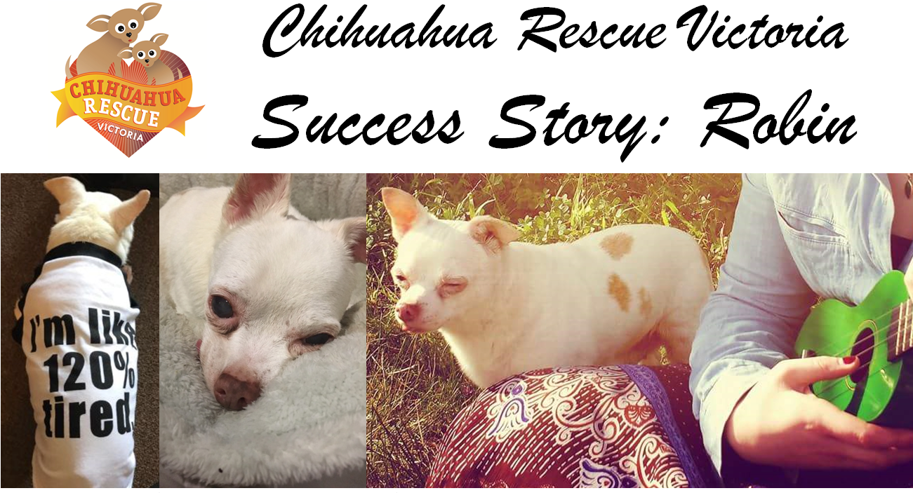 Linger Awhile By Russell Hoban (1394x732), Png Download