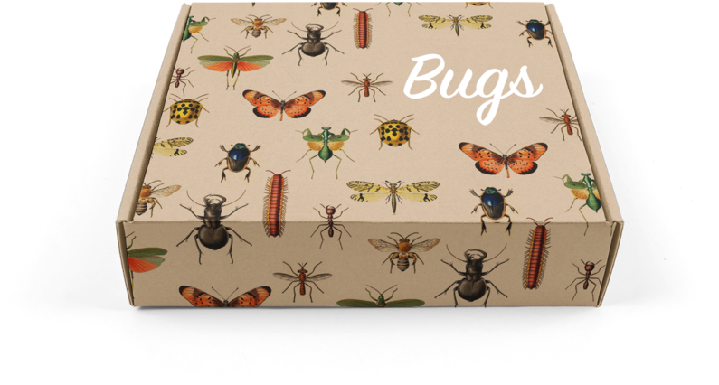 Bugs (1000x573), Png Download