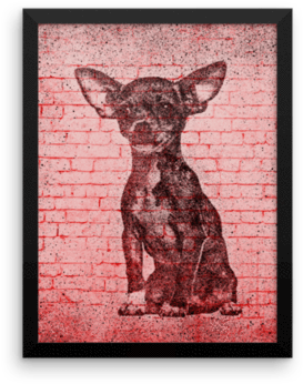 Chihuahua On Wall Framed Poster - Poster (480x480), Png Download