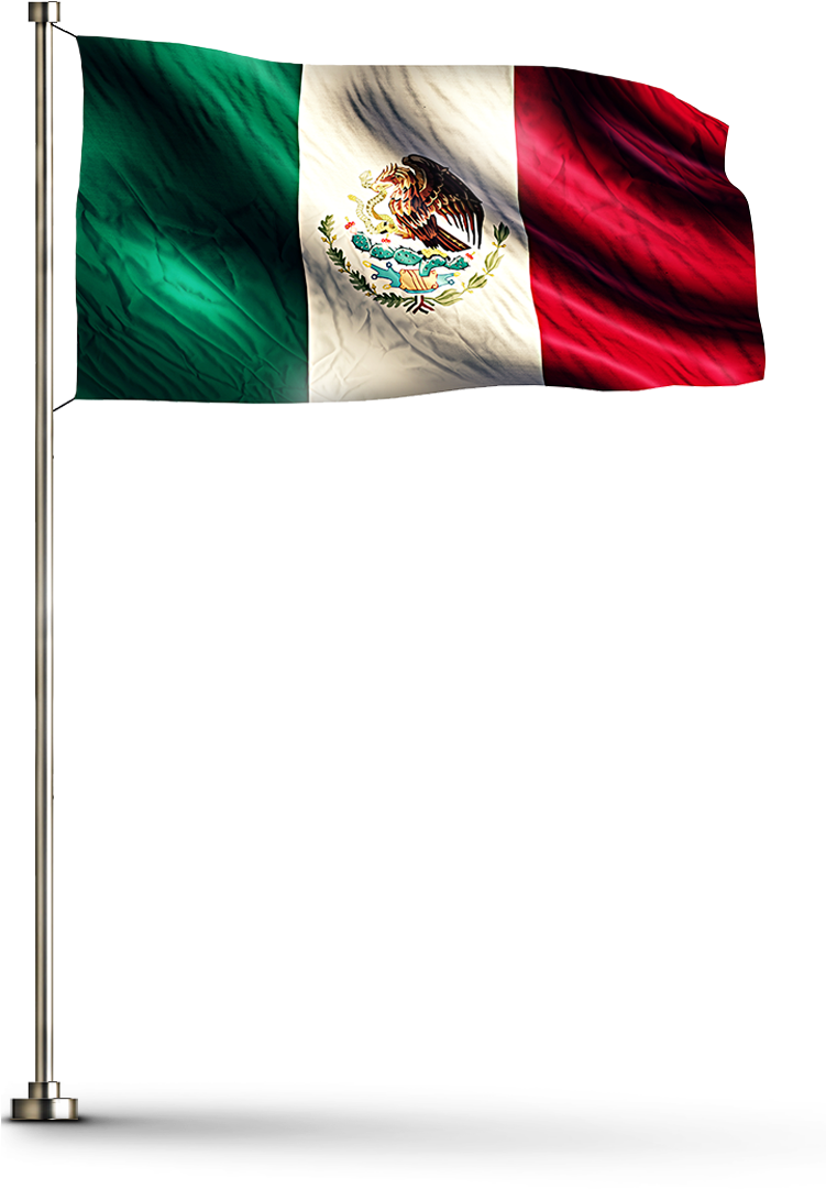 We Promote Networking And Trade Between Companies In - Mexico (750x1100), Png Download