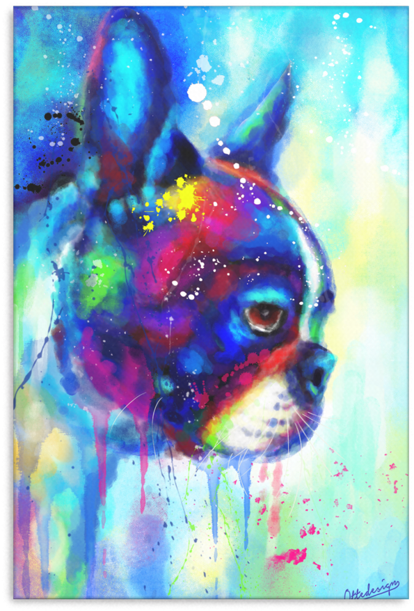 Boston Terrier Canvas 4 D153 - Chihuahua (900x900), Png Download