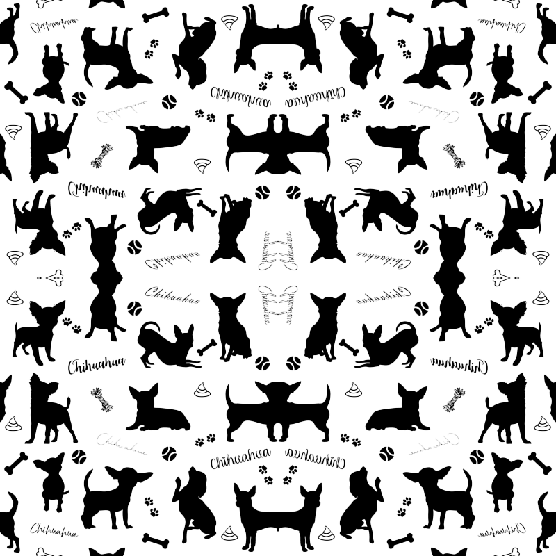 Chihuahua (800x800), Png Download
