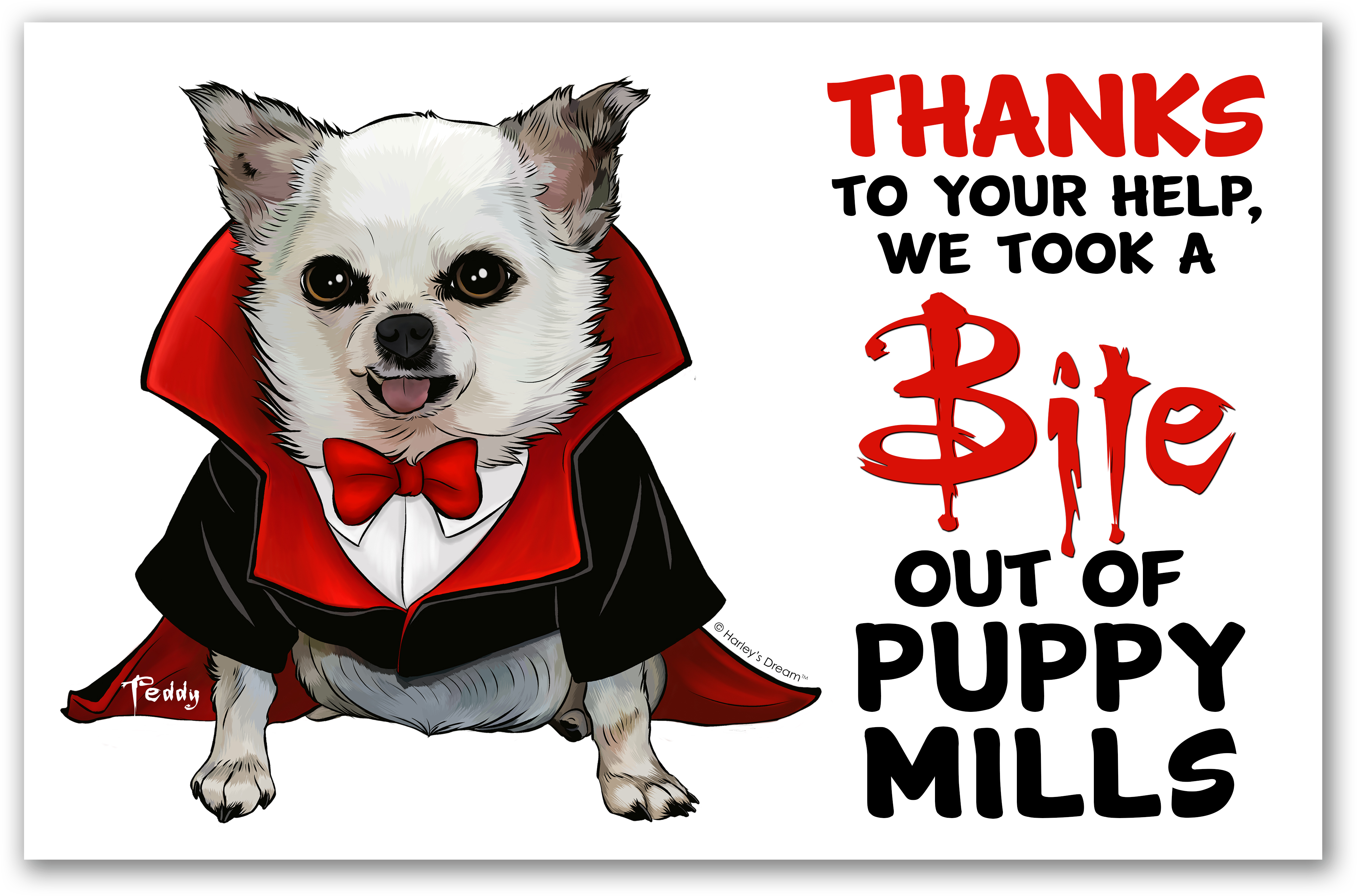 Each Kit Includes - Dog (4352x2956), Png Download