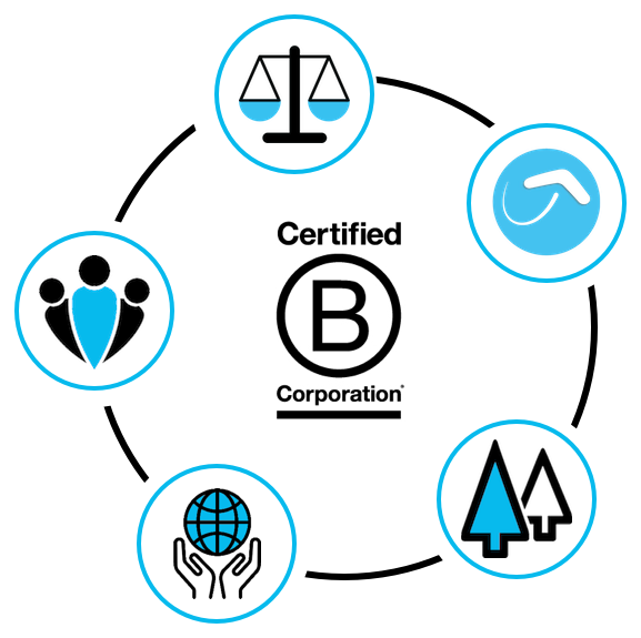 Website Design - B Corp (577x575), Png Download