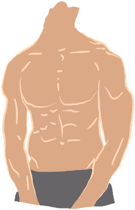 Previous - Strong Body Png (509x720), Png Download