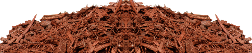 Home - Wood (982x209), Png Download
