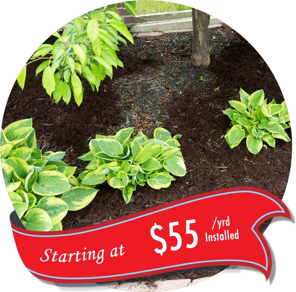 We Can Replace Your New Or Existing Mulch Beds With - Mulch And Pine Straw Design (1440x960), Png Download