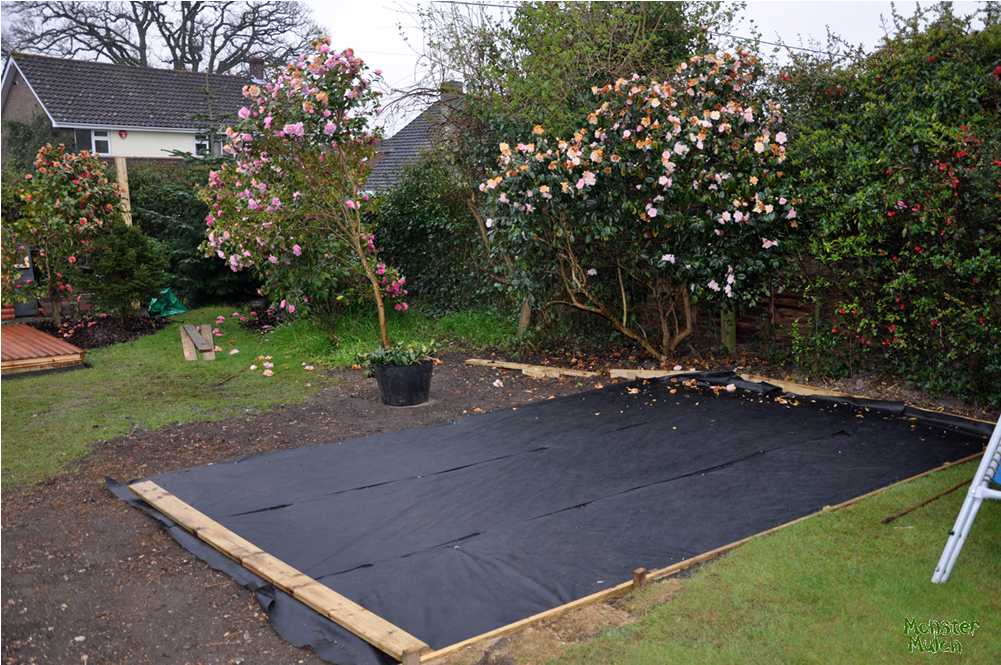 Membrane-beccibefore - Backyard (1000x1000), Png Download