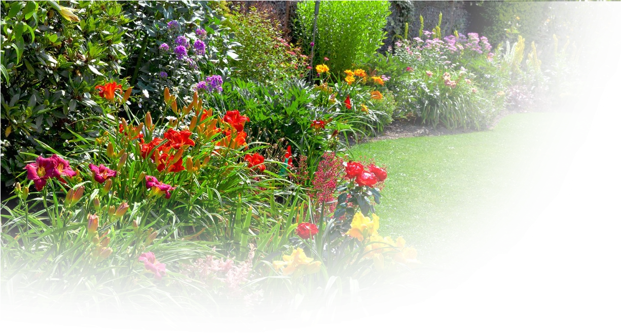 Download Garden Products English Summer Garden Png Image With No Background Pngkey Com
