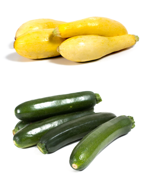 Squash (500x600), Png Download