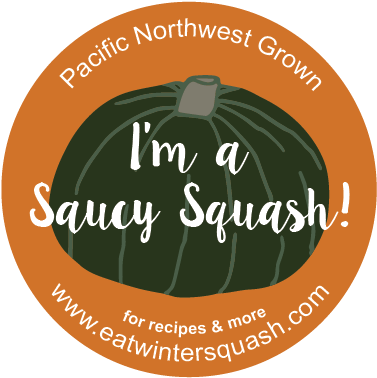 Squash Saucy Fullcolor - Bisuteria Paso A Paso (450x450), Png Download