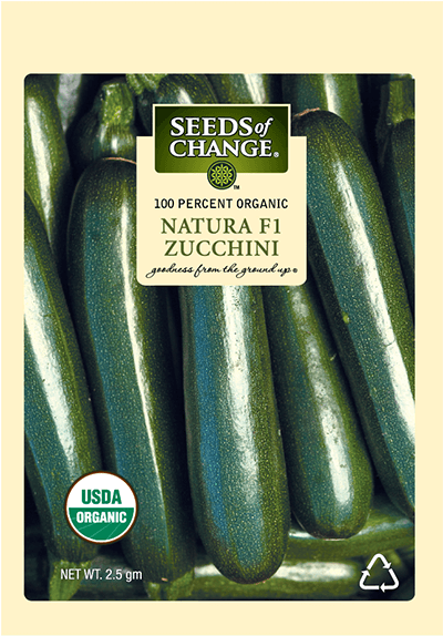 Organic Natura F-1 Zucchini Squash Seeds - Usda Organic (573x573), Png Download